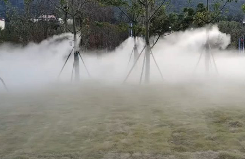 树林雾森